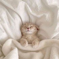 Игровой проект