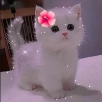 Mariya HR