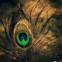 ООО "ЭКСПЕРТ ГРУПП"