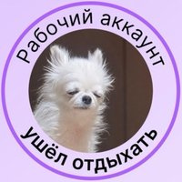 Спортс