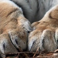 Мультибрендовый бутик мужской одежды премиум-сегмента