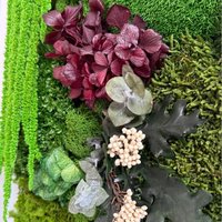 Yes of Moss