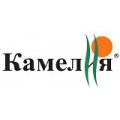 Игорь Степанович