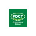 Бурцева Светлана