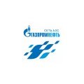 Никитина Наталья Игоревна